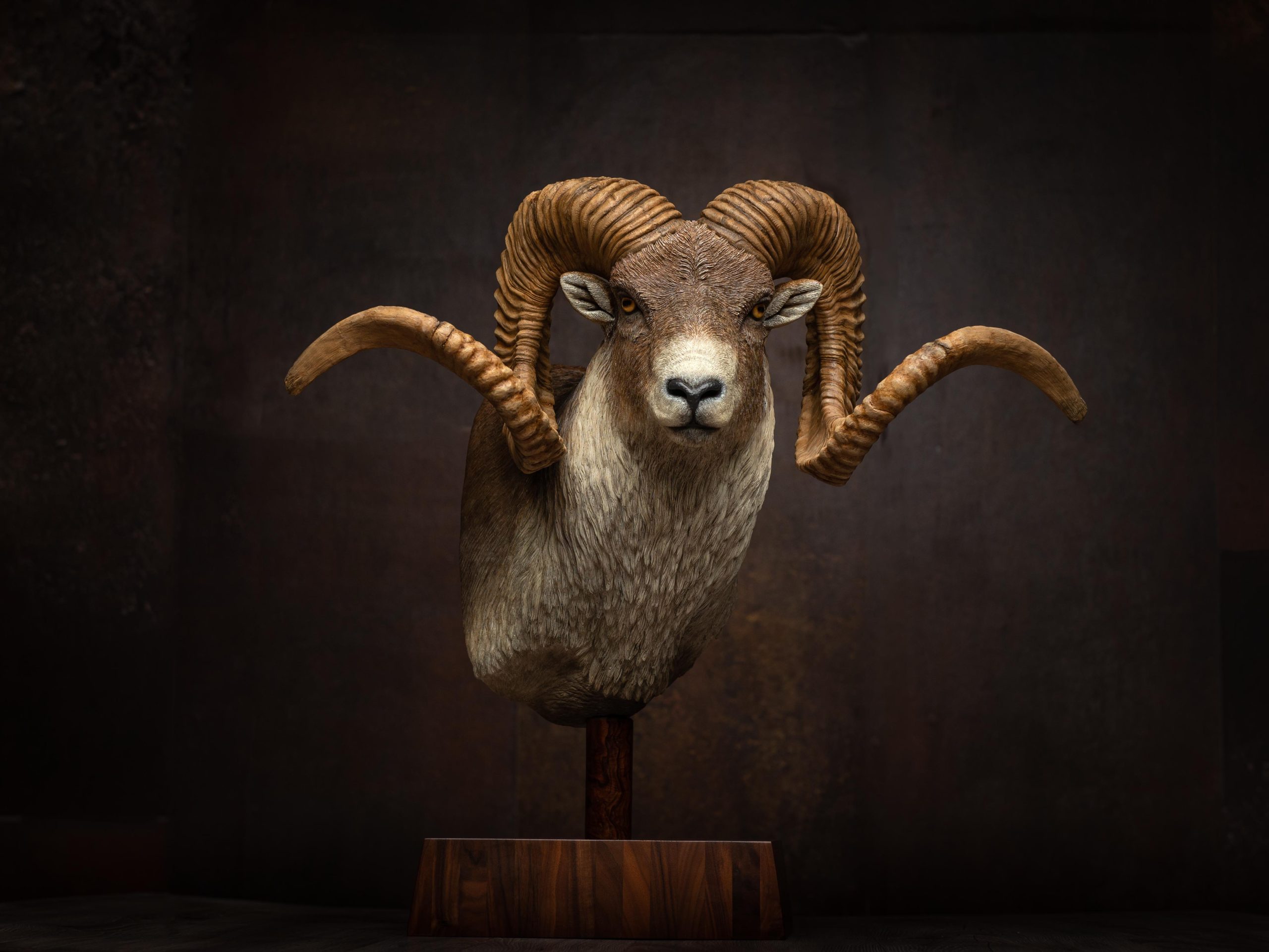 argali-markopolo schaf-skulptur